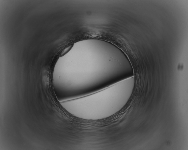 X0000101991442200807180813