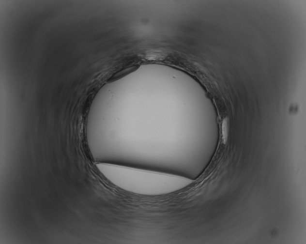 X0000101991443200807180813