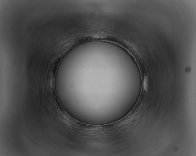 X0000101991444200807180813
