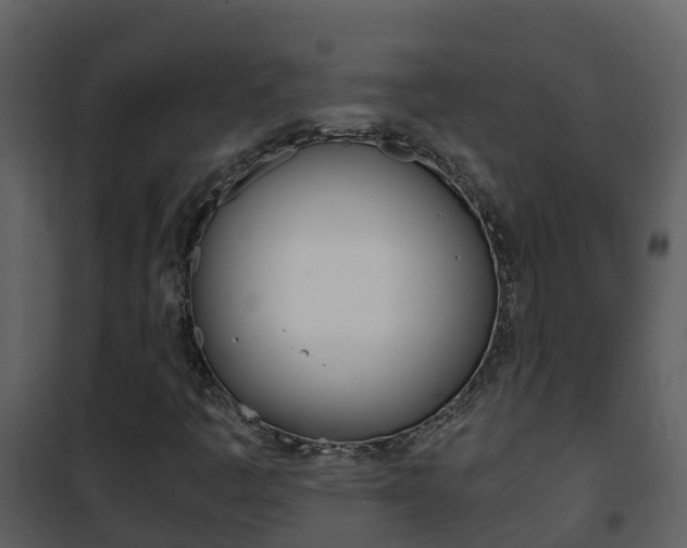 X0000101991445200807180813