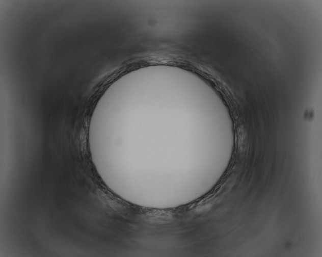 X0000101991446200807180813