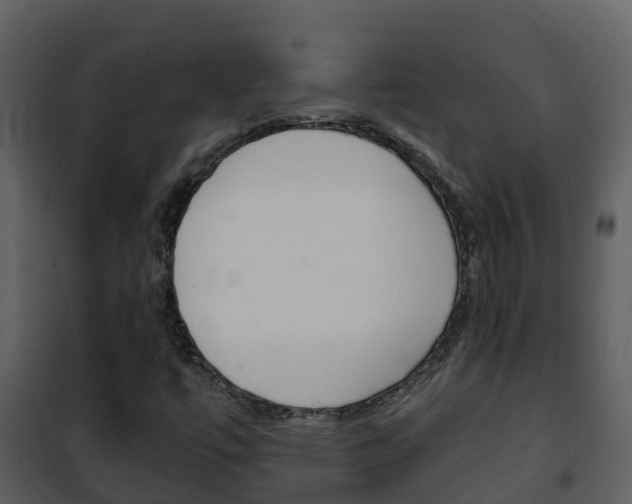X0000101991447200807180813
