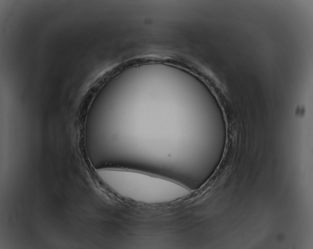 X0000101991448200807180813