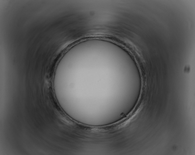 X0000101991449200807180813