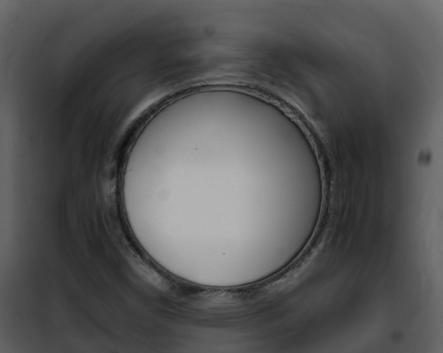 X0000101991450200807180813
