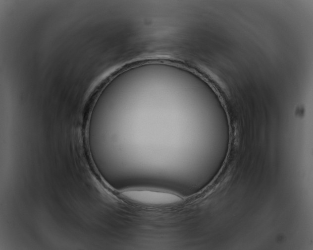 X0000101991452200807180813