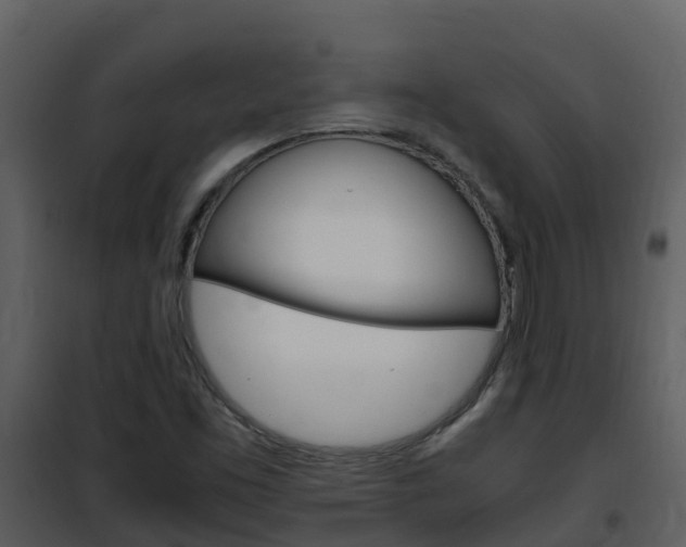 X0000101991453200807180813