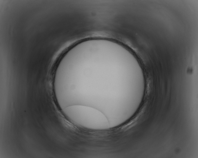 X0000101991454200807180813