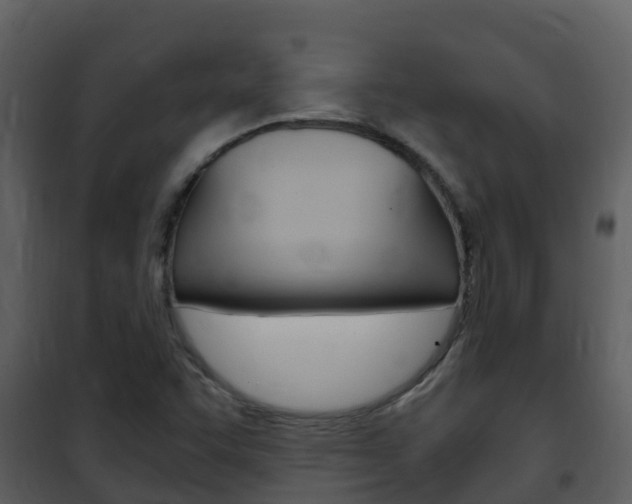X0000101991455200807180813