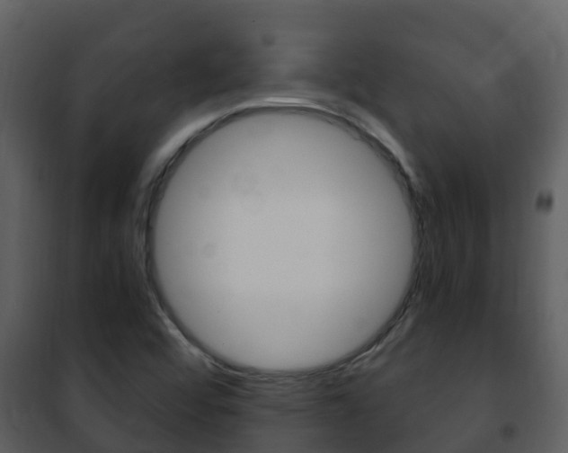 X0000101991456200807180813