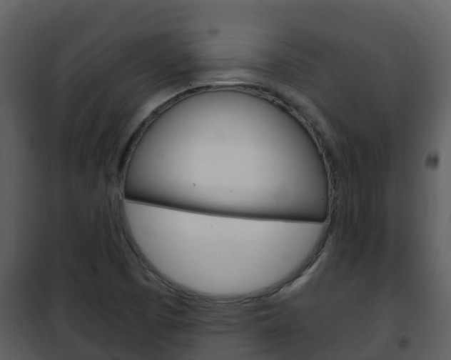 X0000101991457200807180813