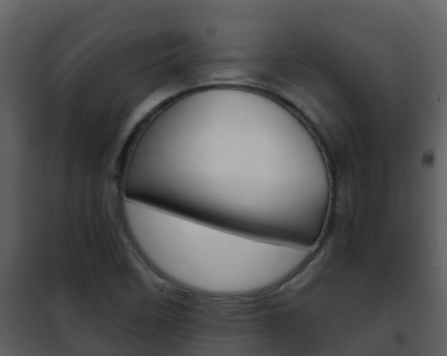 X0000101991458200807180813
