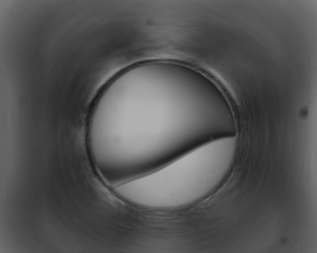 X0000101991460200807180813