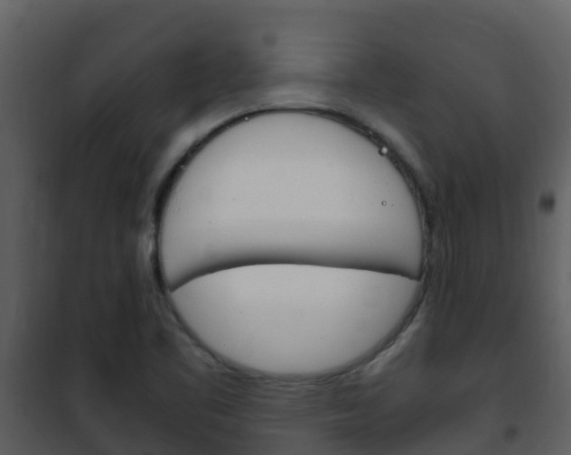X0000101991461200807180813