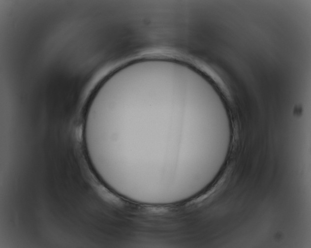 X0000101991462200807180813