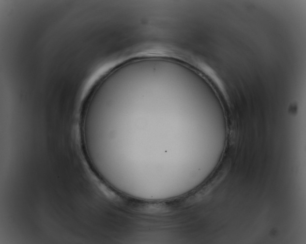 X0000101991464200807180813