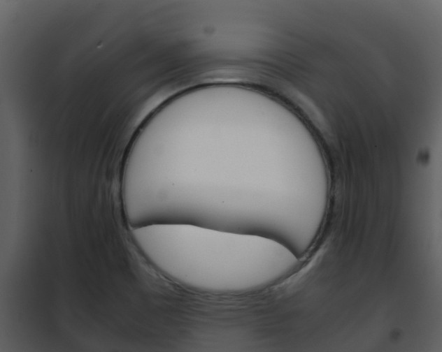 X0000101991465200807180813