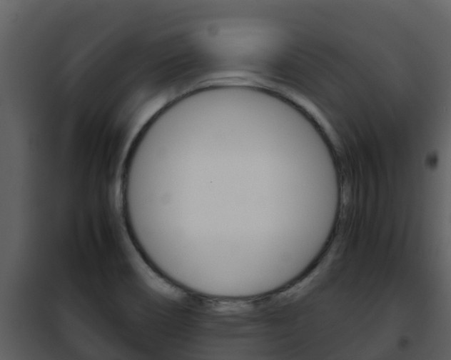 X0000101991466200807180813