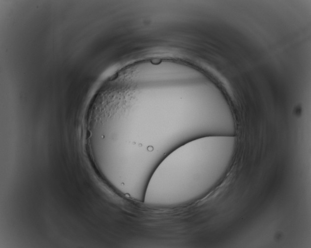X0000101991467200807180813