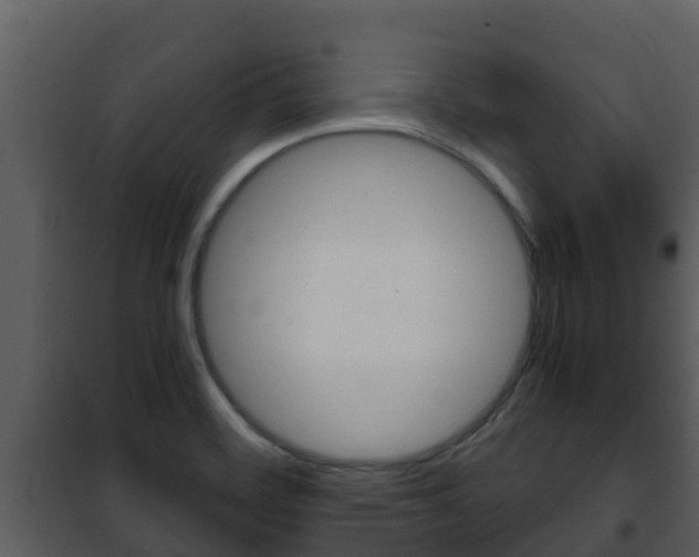 X0000101991468200807180813