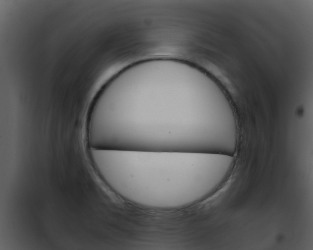 X0000101991469200807180813