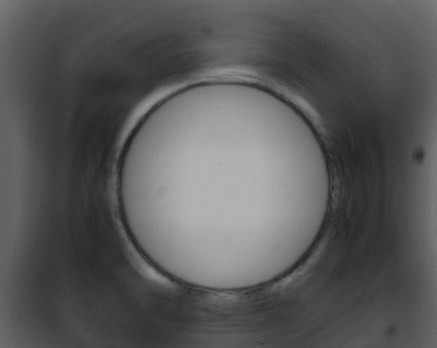 X0000101991470200807180813
