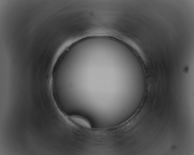 X0000101991472200807180813