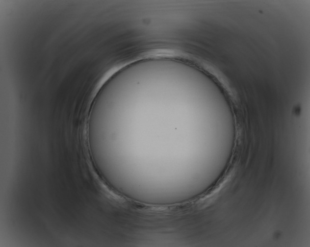 X0000101991473200807180813