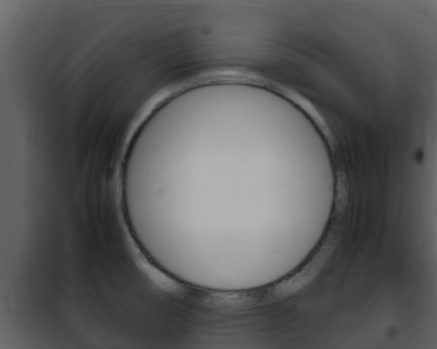 X0000101991474200807180813
