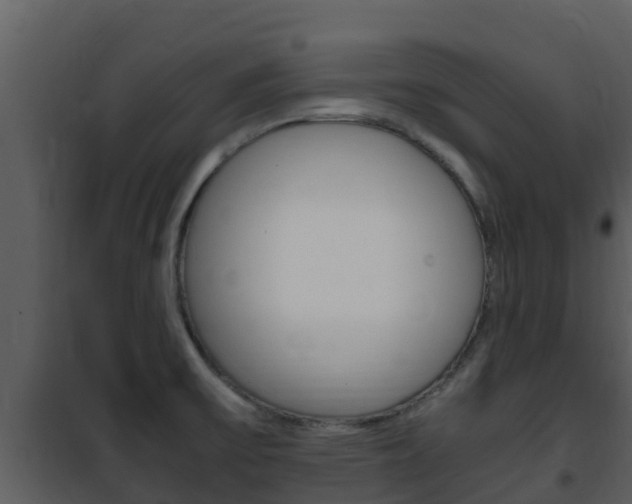X0000101991475200807180813