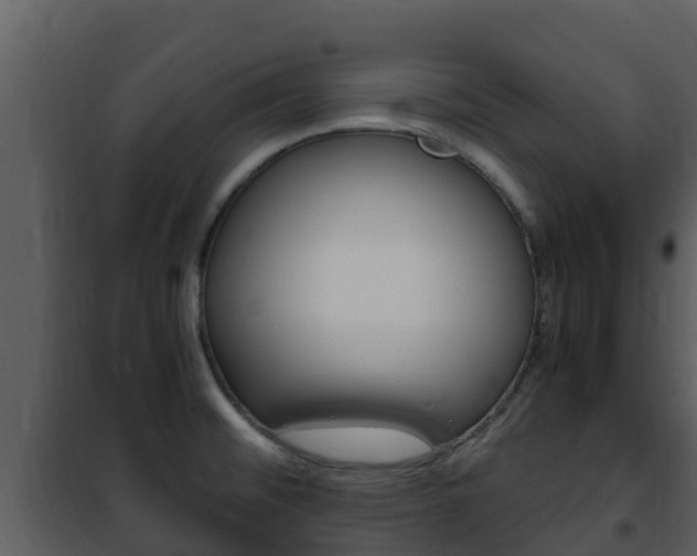 X0000101991476200807180813