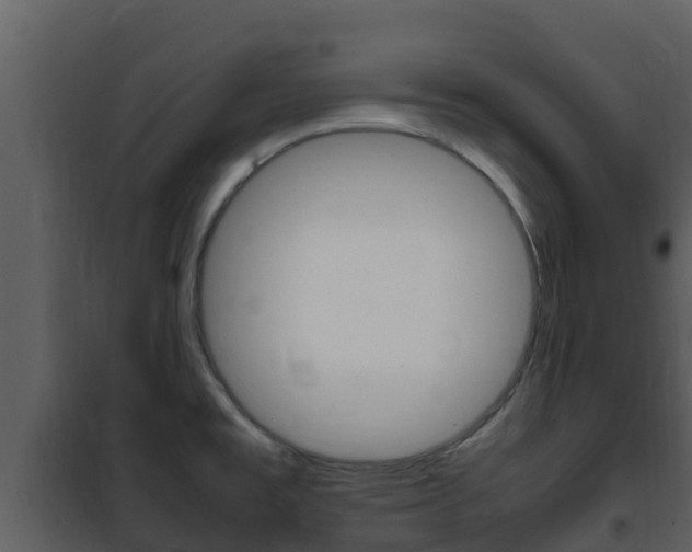 X0000101991477200807180812