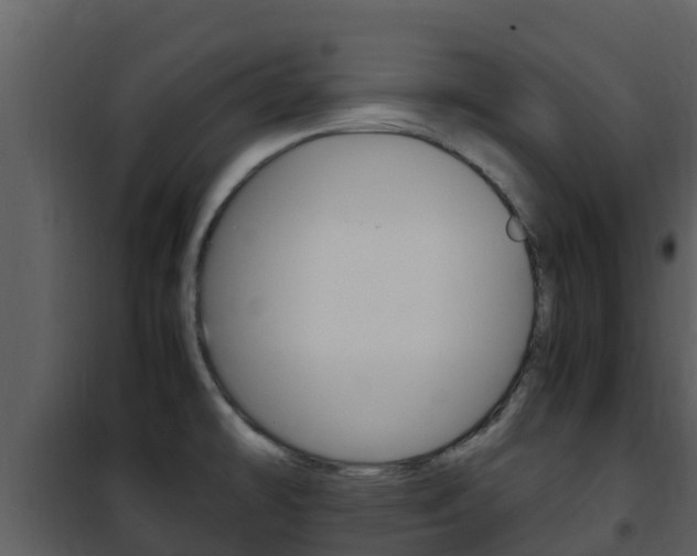 X0000101991478200807180812