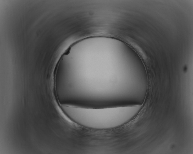 X0000101991479200807180812