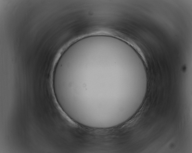 X0000101991480200807180812