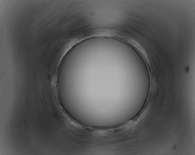 X0000101991481200807180812
