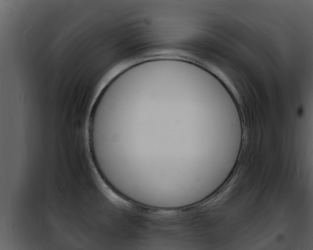 X0000101991482200807180812