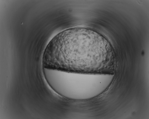 X0000101991483200807180812