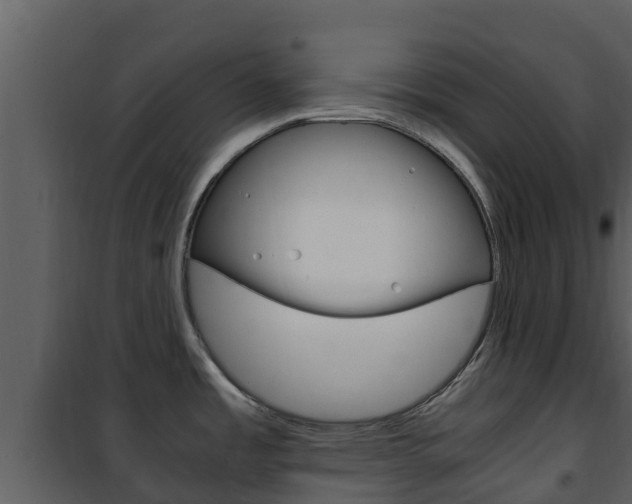 X0000101991485200807180812