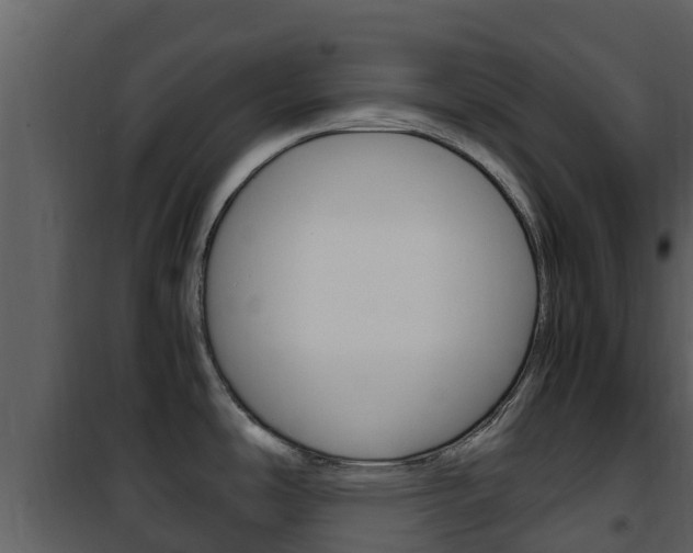 X0000101991486200807180812