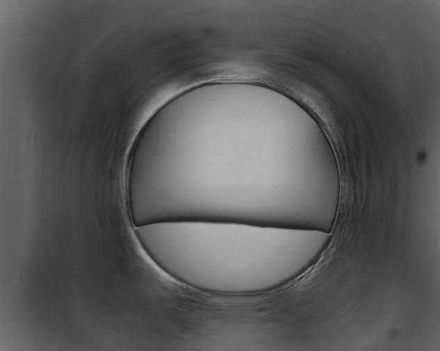 X0000101991487200807180812