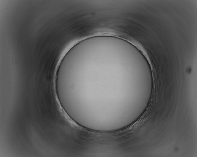 X0000101991488200807180812