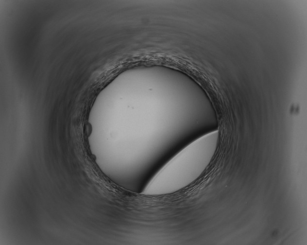 X0000101991489200807180811