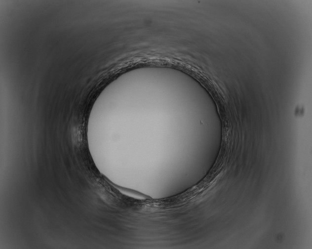 X0000101991490200807180812