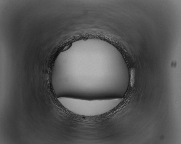 X0000101991491200807180812