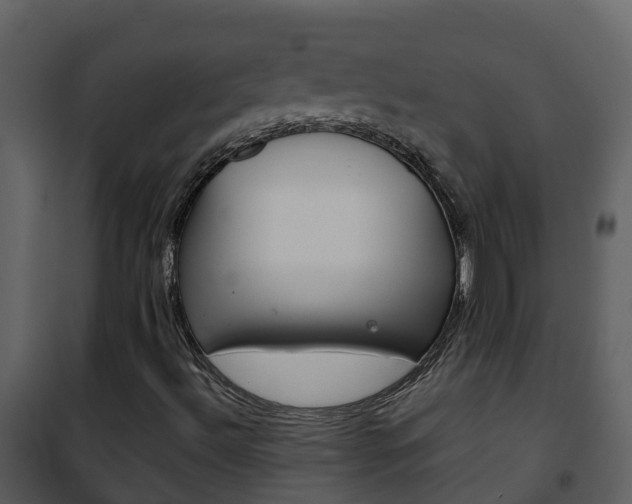 X0000101991492200807180812