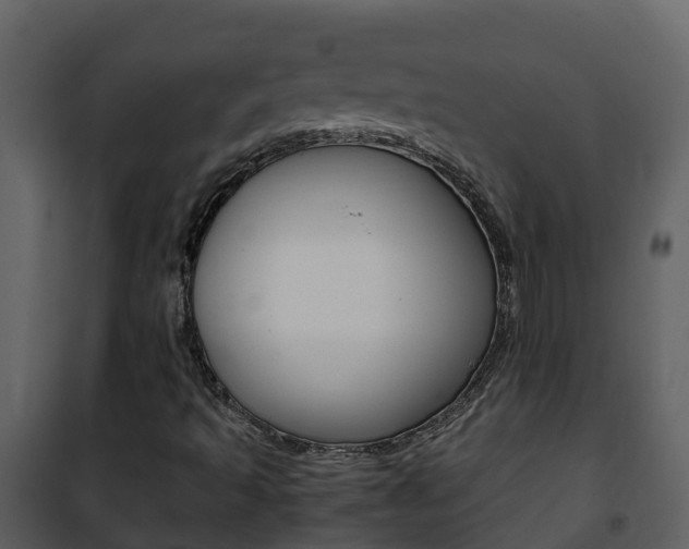 X0000101991493200807180812