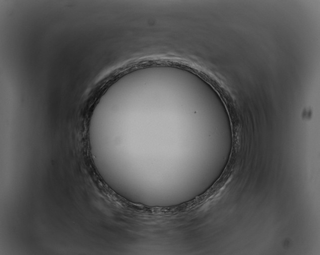 X0000101991494200807180812
