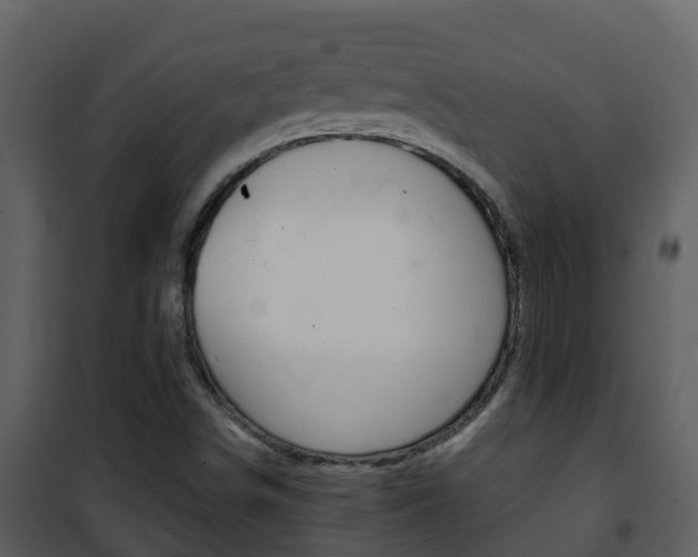 X0000101991498200807180812