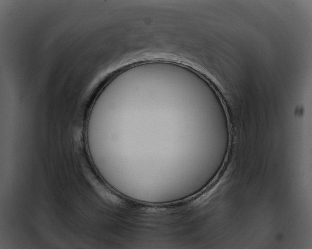 X0000101991499200807180812